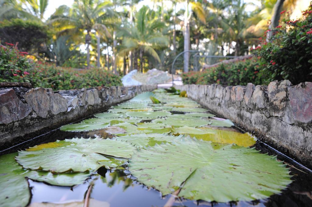 Le Domaine Des Pierres Hotel Saint-Pierre Kültér fotó